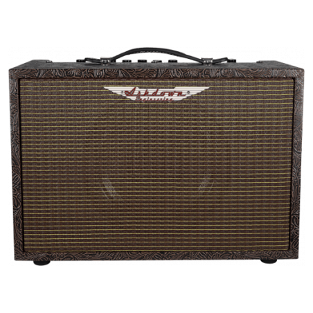 Ampli acoustique 40 watts | AMPLIS GUITARE ACOUSTIQUE Ashdo…