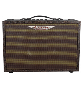 Ampli acoustique 40 watts | AMPLIS GUITARE ACOUSTIQUE Ashdo…