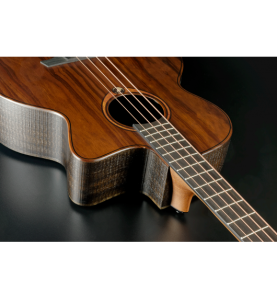 Basse électro-acoustique Sauvage | Basse électro-acoustique…