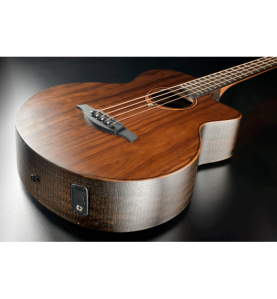 Basse électro-acoustique Sauvage | Basse électro-acoustique…