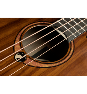 Basse électro-acoustique Sauvage | Basse électro-acoustique…