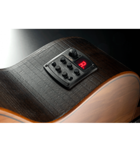 Basse électro-acoustique Sauvage | Basse électro-acoustique…