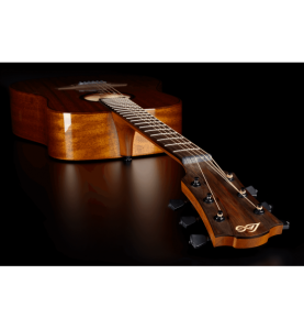 Dreadnought | Guitares Acoustiques Lâg | Réf GLA T98D