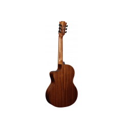 Classical cutaway electroacoustic