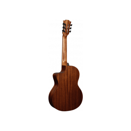 Classical cutaway electroacoustic