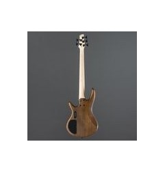 Ibanez GSR205B-WNF Walnut Flat Gio