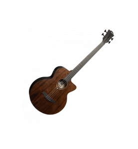 Lâg Sauvage-BCE : Basse Électro-Acoustique Éco-Responsable