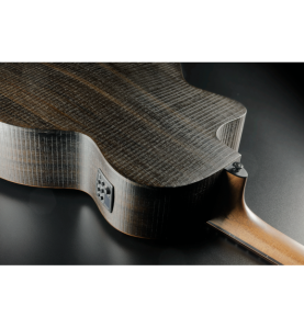 Lâg Sauvage-BCE : Basse Électro-Acoustique Éco-Responsable