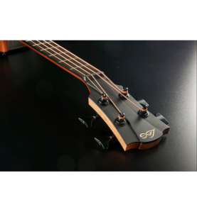 Lâg Sauvage-BCE : Basse Électro-Acoustique Éco-Responsable