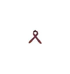 Levy's MC8-BUR Sangle Guitare : Coton Bordeaux 5cm avec Logo Cuir