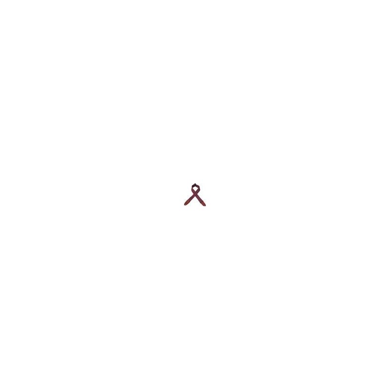 Levys 5 CM Coton avec Logo Levy's en Cuir Burgundy Sangles et courroies