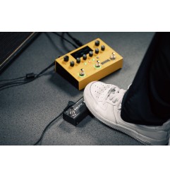 NUX - MNU DUAL-LOOP-STEREO